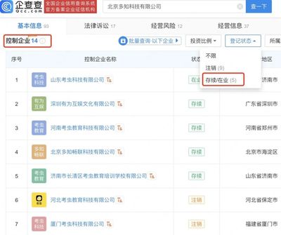 幕后 知名教培網站倒下，創始人“在國外走流程”的省思與回響